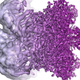 Today’s resolution of cryo microscopy illustrated by this glutamate dehydrogenase molecule (Image: Martin Högbom/The Royal Swedish Academy of Sciences)